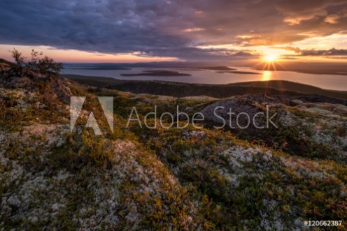 Picture of Moss lichen and other mountain tundra plants in autumn colors growing by the slopes of Hibinpahkchorr mountain In background sun setting above lake Large Imandra Russia Hibiny